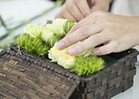 Garden Skill
