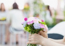 Garden Skill