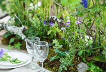 Garden Skill